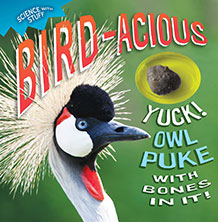 Bird-acious
