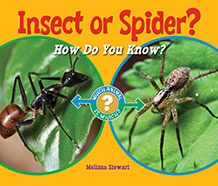 Insect or Spider? How Do You KNow?