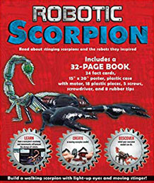 Robotic Scorpion