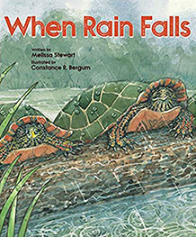 When Rain Falls paperback